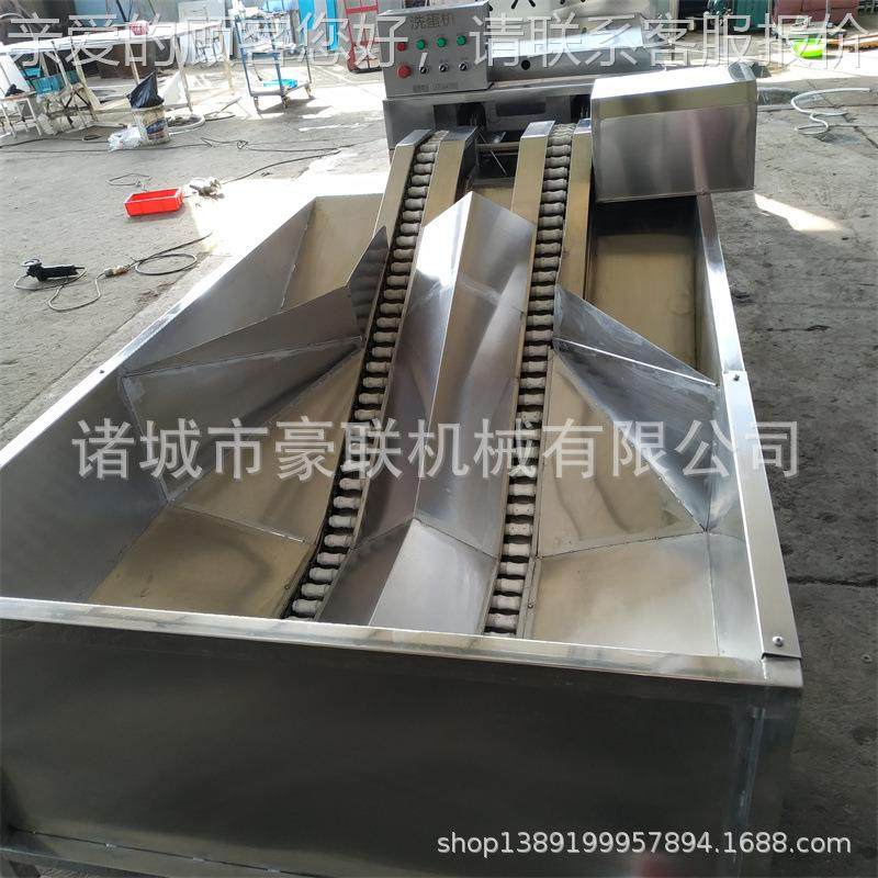 全自动洗蛋机 笨鸡蛋土鸡清洗生线咸鸭蛋初加工 清洗产TDU去泥去