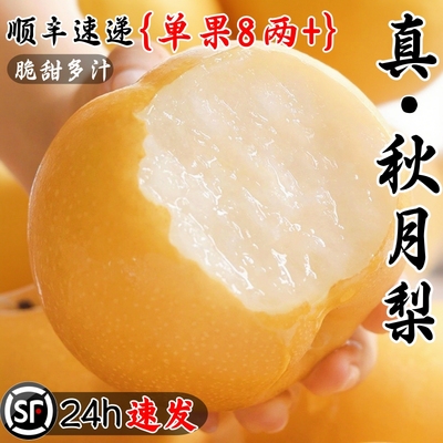 正宗秋月梨中秋礼盒顺丰
