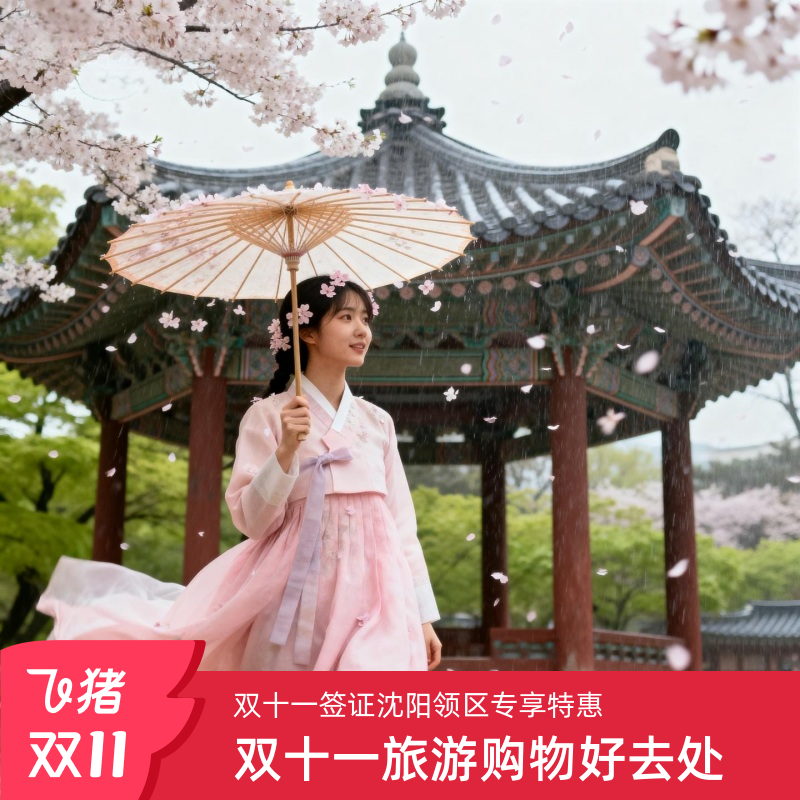 韩国单次签证沈阳送签