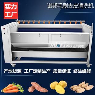 慈姑毛棍清洗机 商用大型毛辊去皮清洗机 慈姑全自动去泥沙清洗机