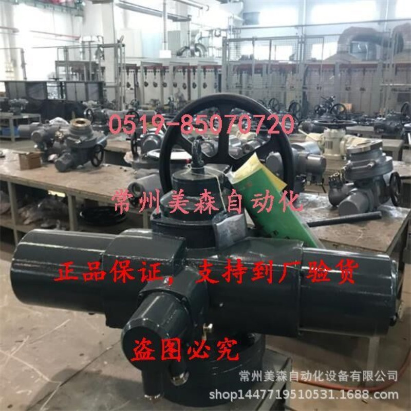 SND-Z1000T-18BS FM2常州电站辅机总厂SND-Z1000T-18BS FP2