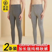 弹力青年115纯棉打底保暖裤 女高个子男120cm190套装 薄款 加长秋裤