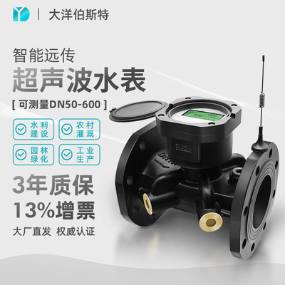 大洋智能远传超声波水表流量计液体水自来水流量计管道流量表仪表