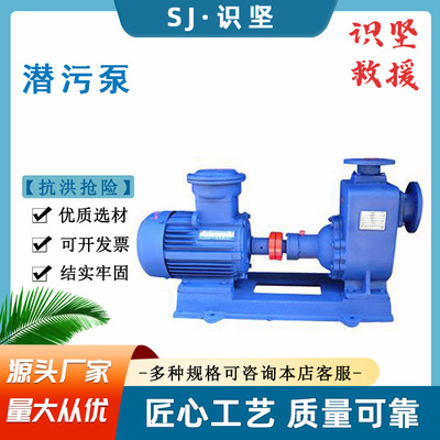 抗洪抢险10m扬程排污泵20KW卧式离心泵无阻塞自吸式潜污泵