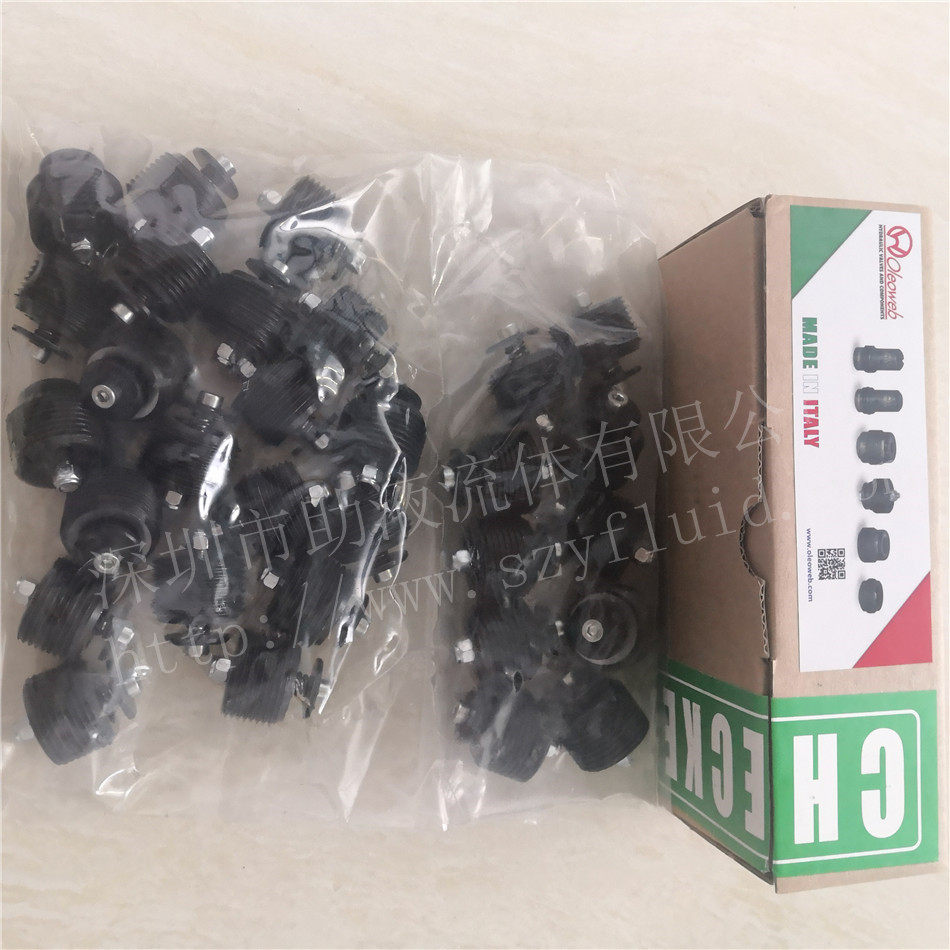 意大利原装进口Oleoweb卡套接头式管路防爆阀VUBA120T10