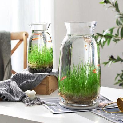 生态小鱼缸微景观观赏小鱼迷你水培植物鱼缸一体玻璃瓶造景水草