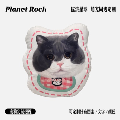摇滚星球私宠定制宠物插画手绘周边抱枕异形方短绒柔软可拆卸猫狗
