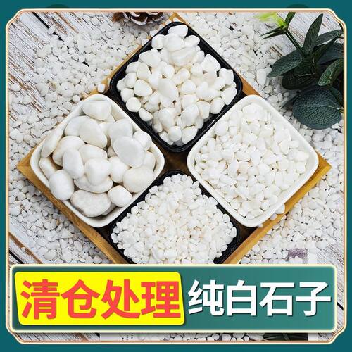 天然白石子鹅卵石雨花石小白石子庭院铺路装饰盆栽铺面五彩大石子