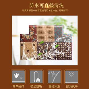 入户门地垫进门丝圈垫门口门脚垫垫子塑料踩入门家用入户门外地毯