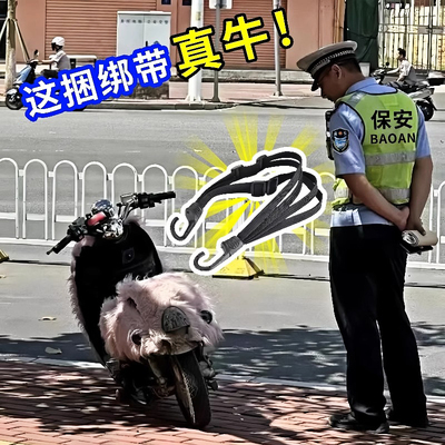 摩托车捆绑带防跑偏防侧滑