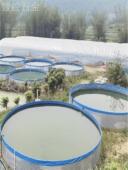 新型户外大型圆形高密度帆布养鱼池加厚刀刮防水池养殖镀锌板支架