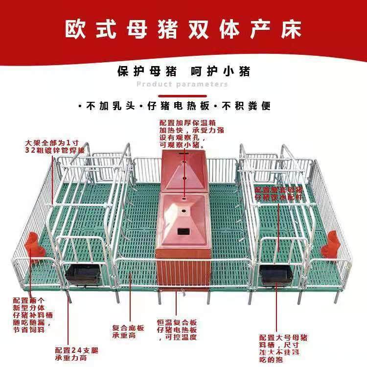 复合双体母猪产床加厚镀锌钢管保育床分娩产保两用一体母猪产床,畜牧/养殖物资,特种养殖设备,淘宝优惠券,粉丝福利购,淘宝优惠卷