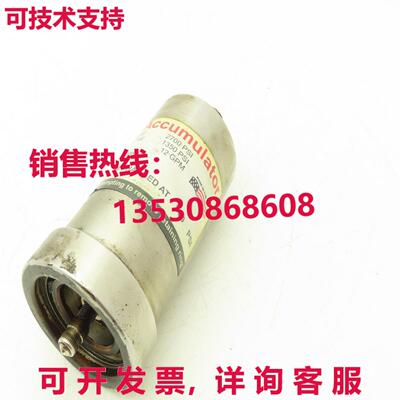 Giant 22050A 不锈钢累积器泵脉冲阻尼器 2700psi 1/2库存现货