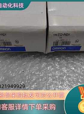 现货全新热电偶E52-P6DY  1M