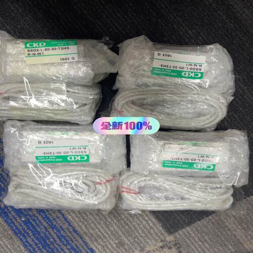 CKD气缸SSD2-L-20-30-N-W1++++开关型号