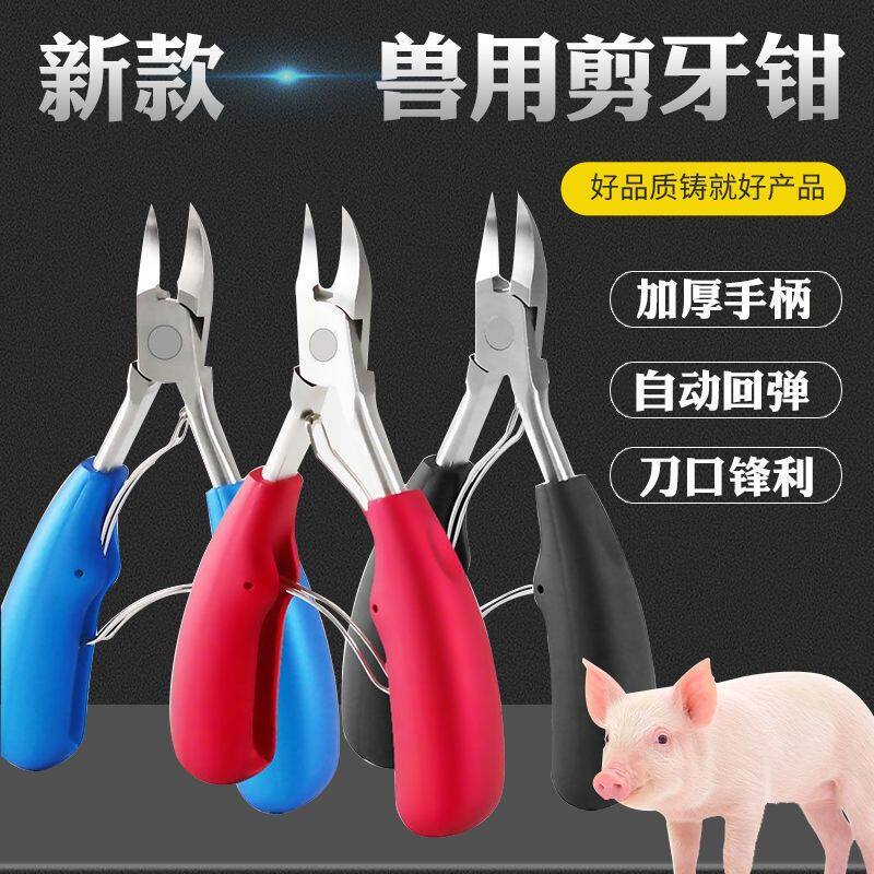 不锈钢剪牙钳仔猪断牙钳猪用剪齿钳小动物兽用剪牙钳养殖器械设备