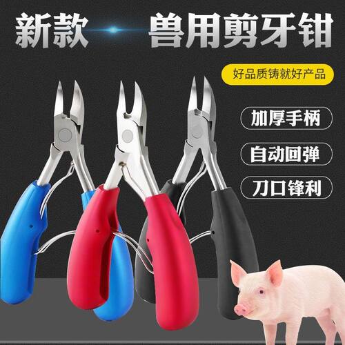 不锈钢剪牙钳仔猪断牙钳猪用剪齿钳小动物兽用剪牙钳养殖器械设备