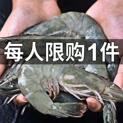 老农欢 速冻鲜活高品质基围大虾 1500g（14~16cm）