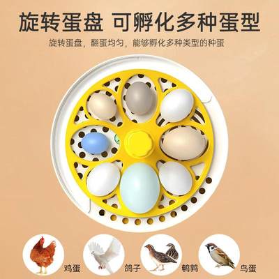 芦丁小鸡孵化器小型家用全自动智能柯尔鸭种蛋孵蛋器箱恒温孵化机