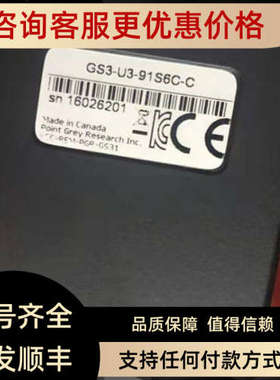 议价FLIR PTGREY灰点 GS3-U3-91S6C-C GS3-U3-91S6M-C工业相机