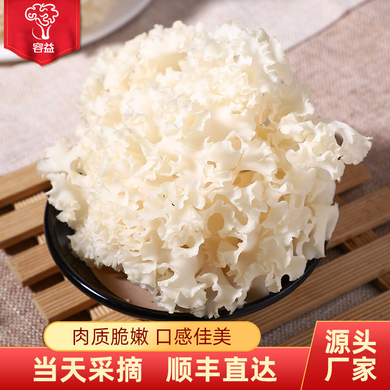 新鲜绣球菌1kg/盒 食用菌菇 鲜绣球菌菇火锅煲汤食材新鲜蔬菜