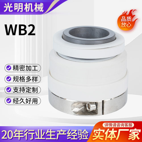 机械密封WB2/152-35/40/45/50-80四氟化工泵轴FSB/IHF/SIC耐腐蚀