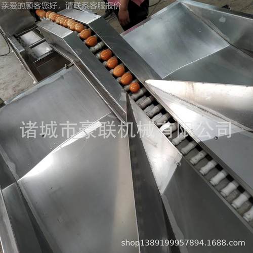 厂家直销 ZGM洗蛋 风干 光检 备喷油 喷码 分全套工艺级设任可选