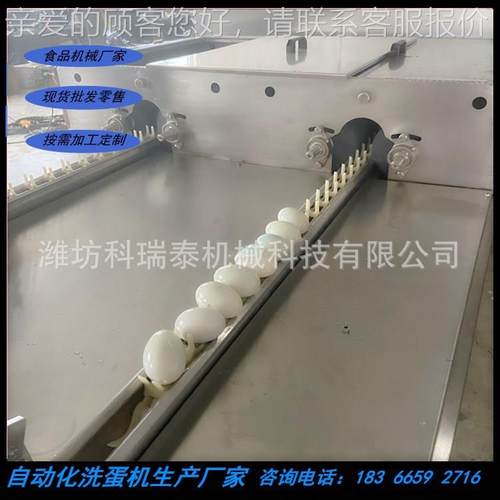 单排自动整序洗智蛋机鸭厂家 小型商用能化鸡适鹅蛋用清洗FKY机器
