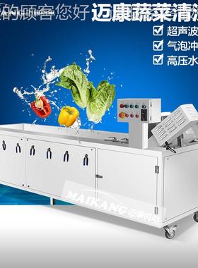 现货供应双孢菇气泡机清洗机  多功海鲜菇臭氧清洗商用洗菜BVI能