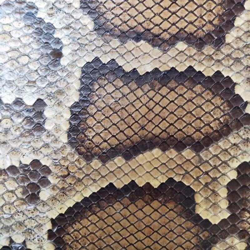 金花蟒皮二胡蟒皮二胡高胡三弦蟒皮金花蟒尾部皮尾部脊背皮