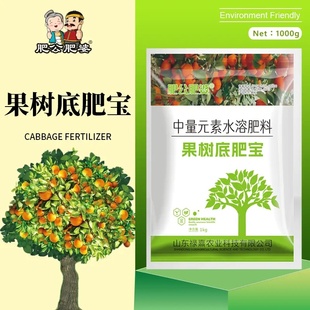 肥公肥婆中量元素水溶肥料果树底肥宝调理土壤提高增产颗粒肥料