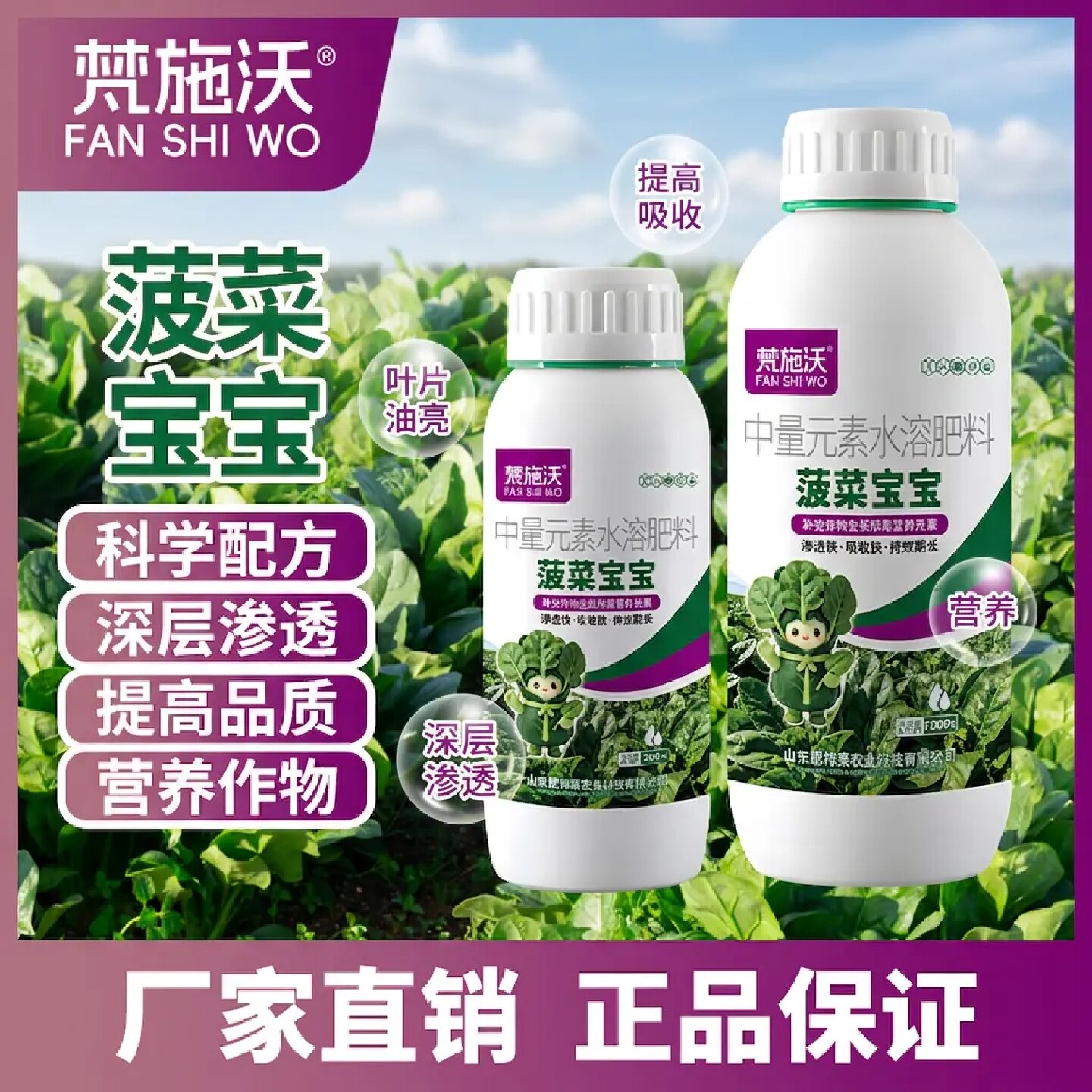 梵施沃菠菜宝宝叶菜类蔬菜专用提高品质增产提苗壮棵叶面肥水溶肥