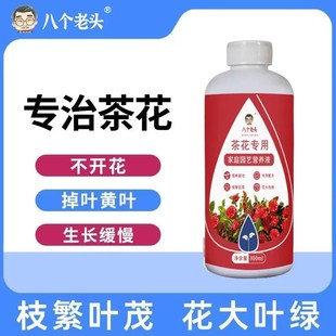 八个老头茶花专用浓缩营养液家用喜酸山茶花盆栽植物通用促花配方