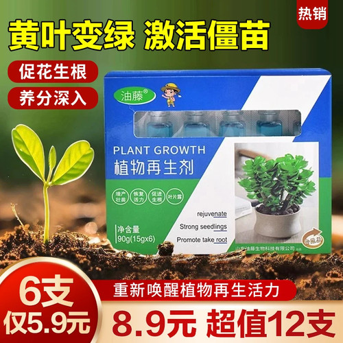 植物再生剂浓缩营养液绿植通用型