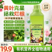 仙花四季 德国小分子有机营养液家庭园艺促生长不伤根植物再生剂