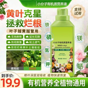 仙花四季小分子有机质营养液家庭园艺促生长改善不伤根植物再生剂