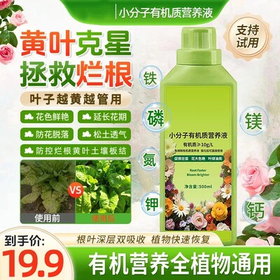 仙花四季小分子有机质营养液家庭园艺促生长改善不伤根植物再生剂