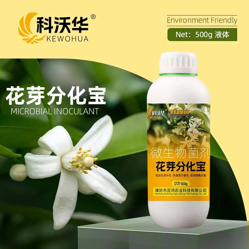 科沃华花芽分化宝瓜果果树促进花芽分化促花促果增产增收叶面肥