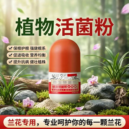植物活菌粉兰花专用微生物菌剂小兰菌养根壮根养花肥料防烂茂森活
