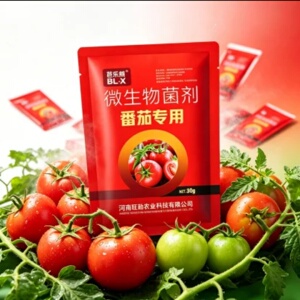 芭乐熊微生物菌剂番茄疫菌清炭疽灰霉白粉果腐早疫通用西红柿专用