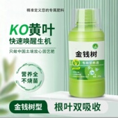 金钱树专用营养液根叶双吸收KO黄叶快速唤醒生机不烧苗冀金鑫