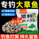 鱼在飞草鱼颗粒饵料窝料四季 通杀野钓黑坑通用鱼食饲料专攻大草鱼