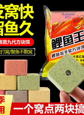鱼在飞大鱼四季通杀方块窝料饵料
