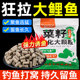 鱼在飞鲤鱼颗粒饵料野垂钓打窝料鱼食黑坑江河通杀鱼饲料直接挂钩