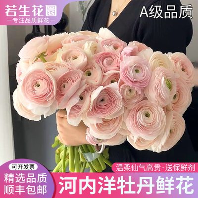 河内洋牡丹鲜花家居水培插花