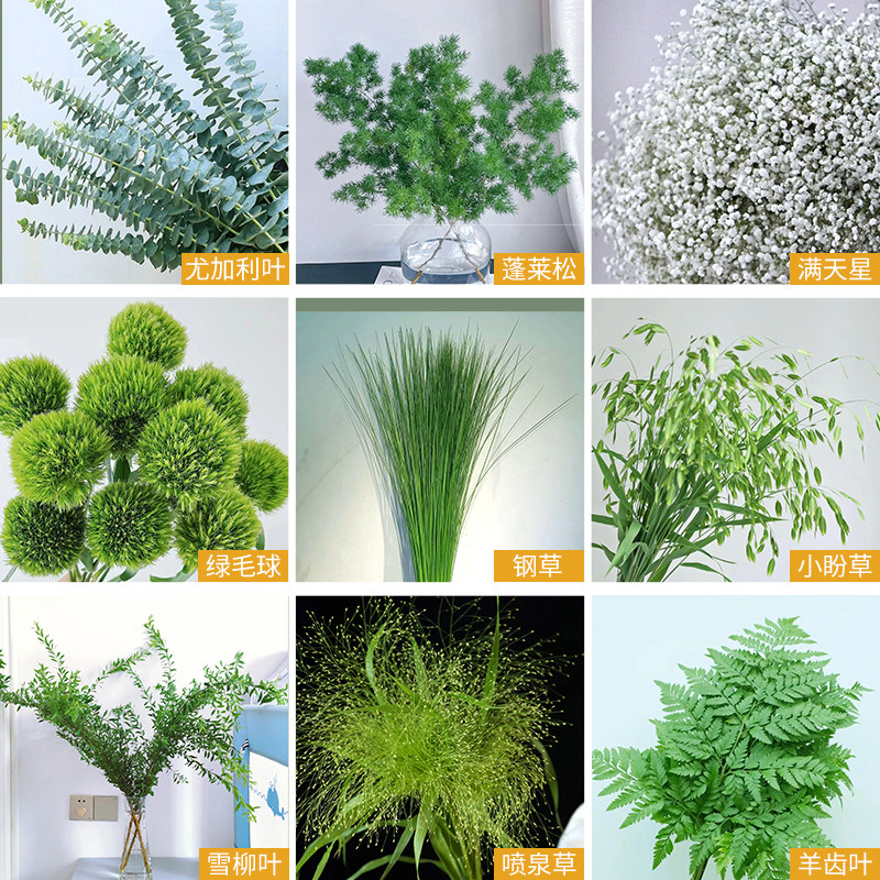 【配花配草】新鲜尤加利叶黄莺草喷泉草银叶菊绿铃草配草配花