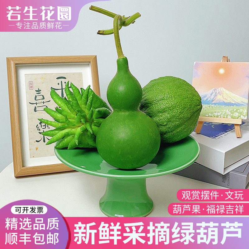 新鲜采摘佛手柑香橼果绿皮葫芦