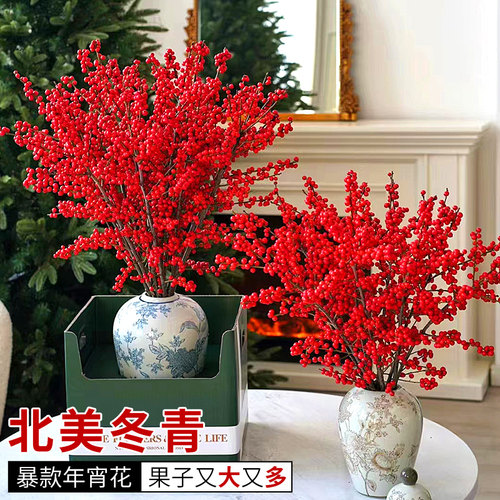 北美冬青喜庆年宵花节日氛围感