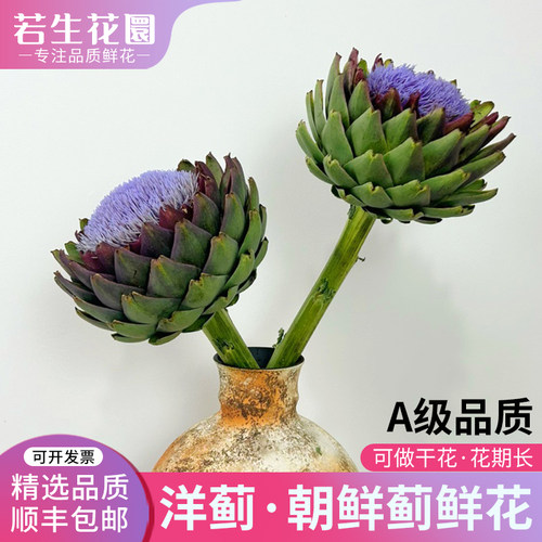 新鲜洋蓟鲜花朝鲜蓟法国百合鲜切