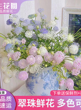 新鲜翠珠鲜花真花配花云南基地直发家用室内水培插花配花期长